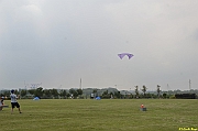 Parco San Giuliano  - 235